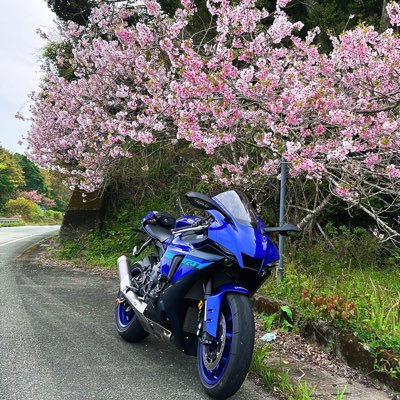 🇸🇬→🇯🇵 平4 Z650→ZX-6R→YZF-R7→YZF-R1（2024) 兵庫