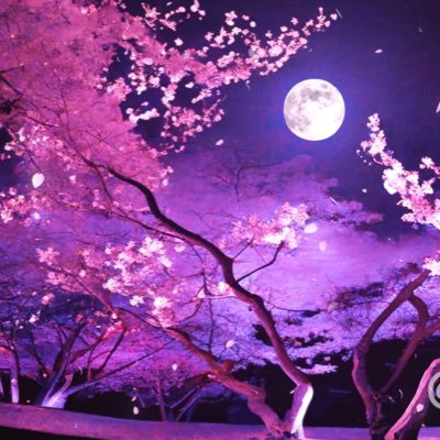 楽しみは春の桜に秋の月夫婦仲良く三度食ふ飯さんのプロフィール画像