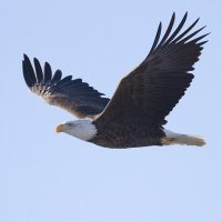 Seeking the Soul ✝️ 🇺🇸 (@seekthesoul) 's Twitter Profile Photo Seeking the Soul ✝️ 🇺🇸 (@seekthesoul) 's Twitter Profile Photo
