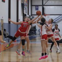 Addi Jones (@ajjones2029) 's Twitter Profile