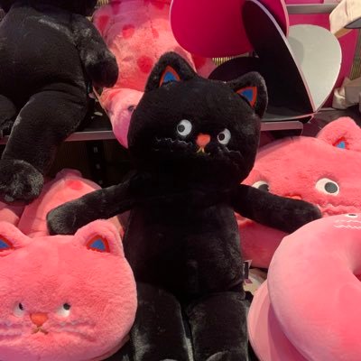 Asong890's profile picture. 