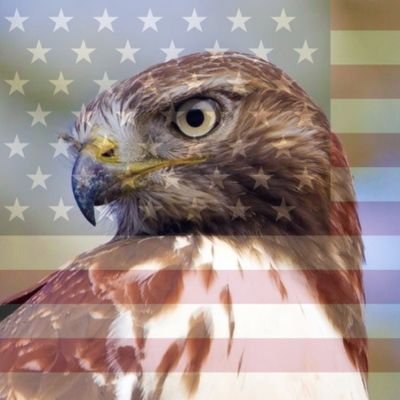 the alt account (in case of suspension) of the one and only Damienn1776
 
🇺🇸 🦅 💥 🇺🇸 🦅 💥 🇺🇸 🦅 💥 🇺🇸 🦅 💥 🇺🇸 🦅 💥 🇺🇸 🦅 💥 🇺🇸 🦅 💥