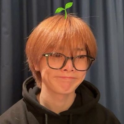 sofiinsun's profile picture. 🌸