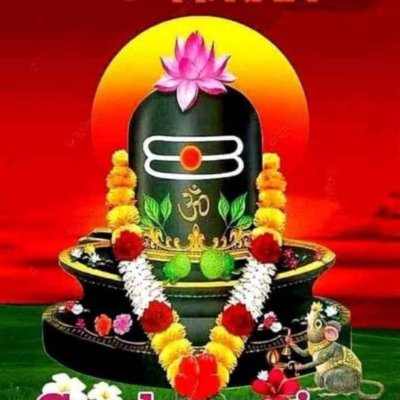 rahulcameback's profile picture. Proud Indian..Blessed son...Blessed father...Foodie...