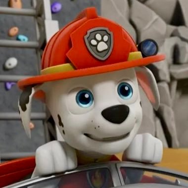 Paw Patrol Fan🐾 | Firefirghter / EMT pup | I’m fired up! 🔥 | Male ♂ | Age 22 | ADHD | American 🇺🇸 | Twin: @03FirePup ❤️‍🔥