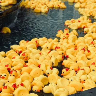 sydmelguy's profile picture. 