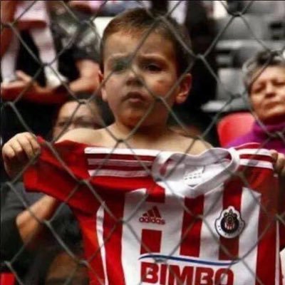 Tengo unos megas para navegar en este mar de m*erda. Aficionado del Club Deportivo Guadalajara. Las @Chivas Rayadas 🇱🇺🇵🇱🐐