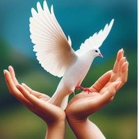 Gilma Rodríguez Madera (@gilmamader10429) 's Twitter Profile Photo Gilma Rodríguez Madera (@gilmamader10429) 's Twitter Profile Photo