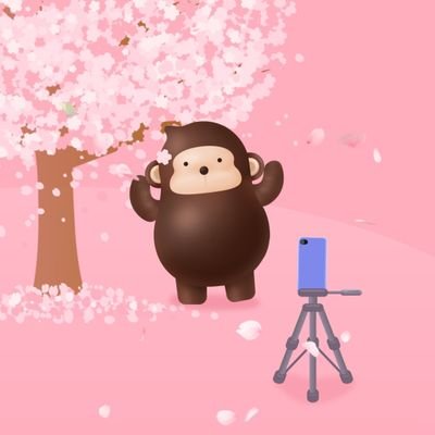Dawn88947783's profile picture. 바보