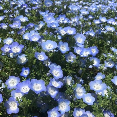 lU73lrSEM227797's profile picture. 無言フォローいいね失礼します／日常垢／鬱・アスペ・ADHD／ミニマリスト・シンフリスト垢／アニメ好き／カフェファミレス好き