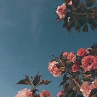 Reem (@0reem__0) 's Twitter Profile