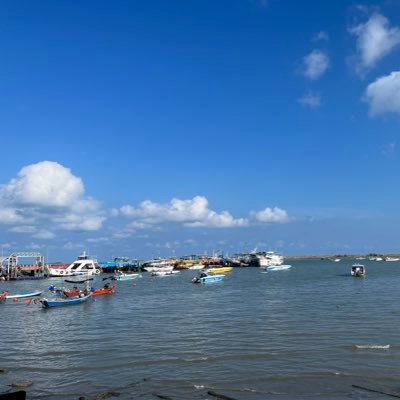 XIAOCHEN99D's profile picture. Alouha