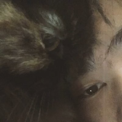 thawatchai_z's profile picture. 