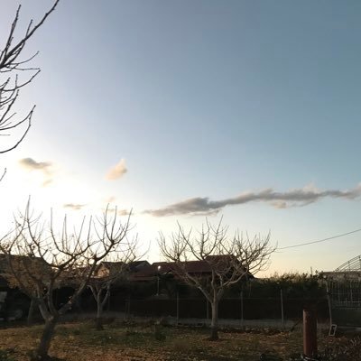 ariyama2350's profile picture. 