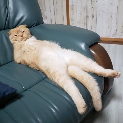 noorcrypto77's profile picture. Just a guy who trades, lift and sleep.