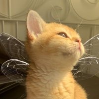 もなふゆ🐾🍚#生産者へ所得補償しろ🍚🌾✊🔥🔥🔥 (@tamjy71aja7yfdx) 's Twitter Profile Photo