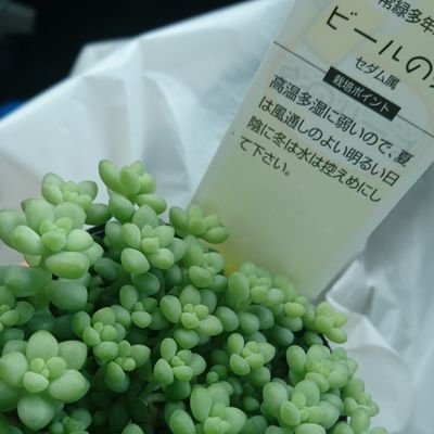 本垢でお世話になってる方へのお礼垢🌱
時々趣味…無断転載🈲/無言感謝◎/趣味多数🔰UVERworldインスト曲は和音が好き