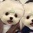 bt_MinMin