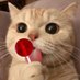 monmonko (@monmonko17k) Twitter profile photo monmonko (@monmonko17k) Twitter profile photo
