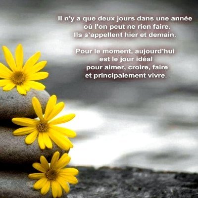 Humour, dérision, échanges, apprendre. Un mot gentil ne coûte rien, parfois fait du bien. Dextérité👎conrrecteur🤬😉! Haine, Xénos, Vulgarité ⛔ oust 🏌‍♀️🍀🦋