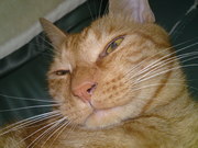 kantoh_slaken's profile picture. こんにちは、おんちゃんと申します。 「BASS オタ」でございます。 
全国ミュージシャン互助会連合
「関東SLAP研究会」「東海SLAP研究会」そし「Session-Party」という会を主宰しております。
座右の銘は「びば！リアル！」　＾＾　　よろしくね！