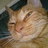 kantoh_slaken's profile image