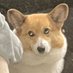 artmin (@artminp) Twitter profile photo artmin (@artminp) Twitter profile photo