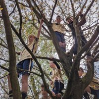 São Paulo FPA U11 (@u10sao) 's Twitter Profile Photo