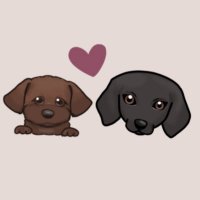 ラヴィ日記🐾 (@_lavie_s2) 's Twitter Profile