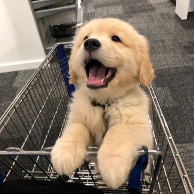 Pammm_a's profile picture. 