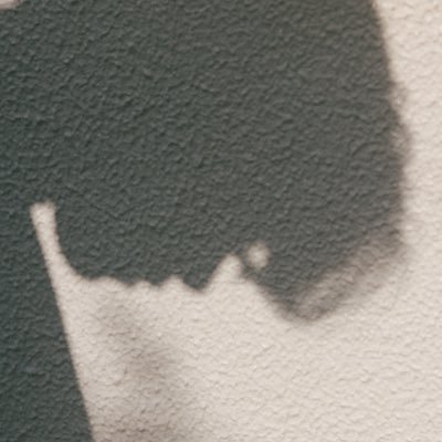 mzmzmz_8's profile picture. 🐶