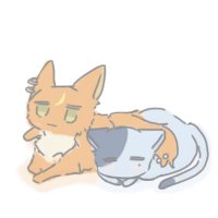 やび🐾 (@_ya__by) 's Twitter Profile Photo やび🐾 (@_ya__by) 's Twitter Profile Photo