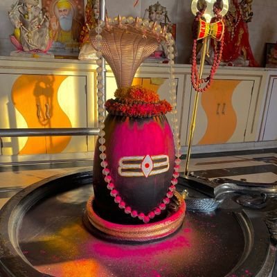 AjeetSi17246261's profile picture. 