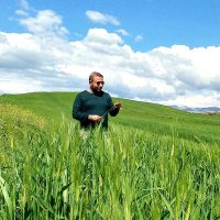 Selhan (@arslan_selhan) 's Twitter Profile