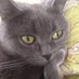 HAS (@h_ari_s) Twitter profile photo HAS (@h_ari_s) Twitter profile photo