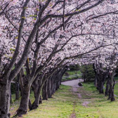 推し用のアカウントです 私の夫と結婚してから始まり、過去作や、関連動画みて完全にナイ沼にハマっています♡♡閲覧用に作っていましたが、好きなものを呟きます📳 無言フォローすみません🙇仲良くしてください！