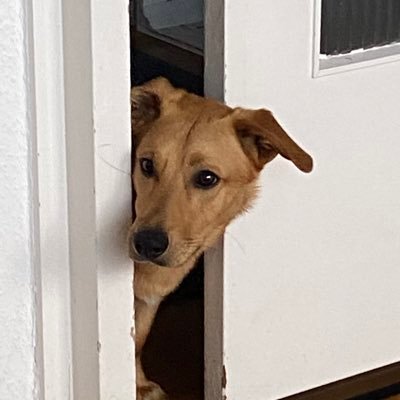 addVoiceHamburg's profile picture. Selbstständige Autorin für Audiodeskription