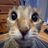 sopaa_luc's profile image