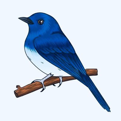 BlueBirdUK1's profile picture. Grew up next to a Foundry, Board Director, School Governor, Charity Board Trustee. 🇬🇧