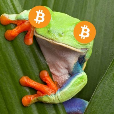 I'm just a #bitcoin frog.