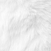 fluffy (@fluffy_sy) 's Twitter Profile Photo fluffy (@fluffy_sy) 's Twitter Profile Photo