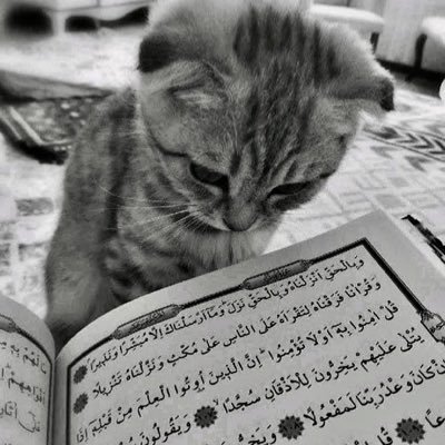 @kiwilowv حَسْبُنَا اللهُ وَنِعْمَ الْوَكِيلُ