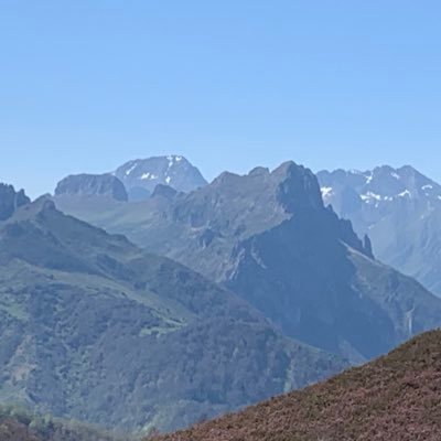 Cántabro🇵🇱blendio💢asturianizado, racinguista💚 y oviedista💙...y Jefe de Cirugía en 🏥 de Cabueñes. Románico, gastronomía, viajes, prehistoria...y tudancas🐮