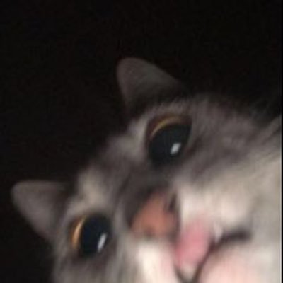 sundalanzz's profile picture. in my sundal era