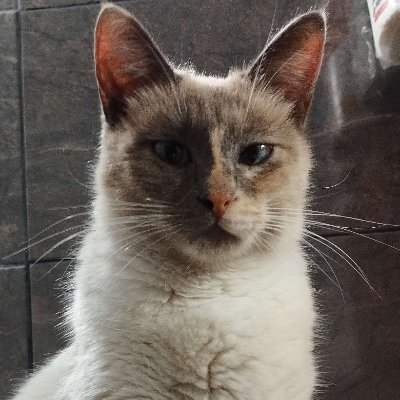 Accu43's profile picture. Pibe tranqui
18!!!!111!

https://t.co/k2mIoSfeQE