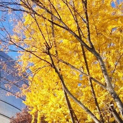 NwYpV0hjn1IABFv's profile picture. 