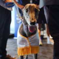 Peita Duncan (@peitae) 's Twitter Profile Photo Peita Duncan (@peitae) 's Twitter Profile Photo
