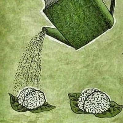 ToruqBlogi's profile picture. 