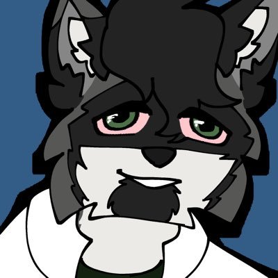 DrSoftPawbs Profile Picture