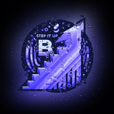 STEPitupB Profile